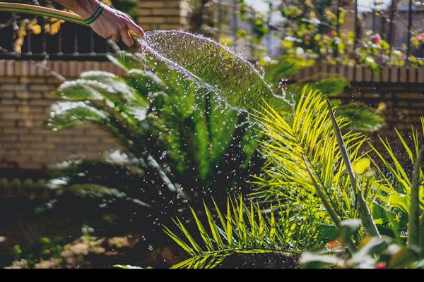 GMB London slam Water UK warning about gardeners using water after wettest Autumn/Winter in living memory